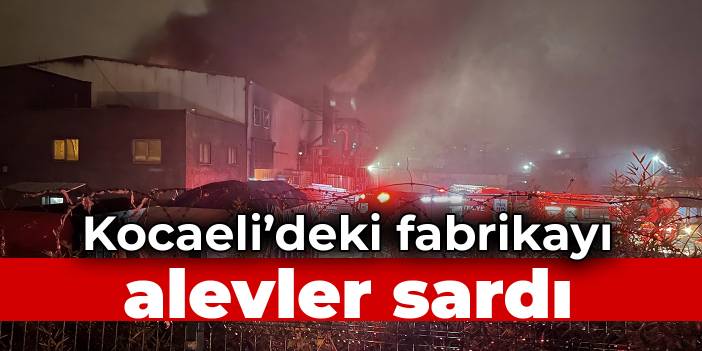 Fabrikayı alevler sardı