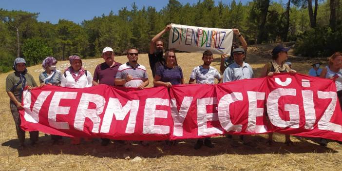 Akbelen Ormanı davasında ‘yürütmeyi durdurma’ kararı kaldırıldı