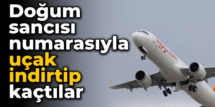 Doğum sancısı numarasıyla uçak indirtip kaçtılar