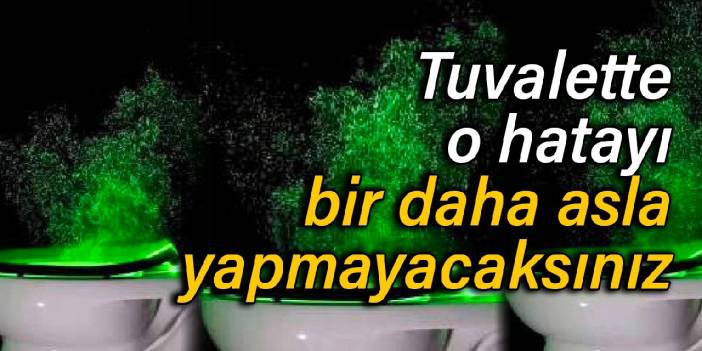 Tuvalette o hatayı bir daha asla yapmayacaksınız