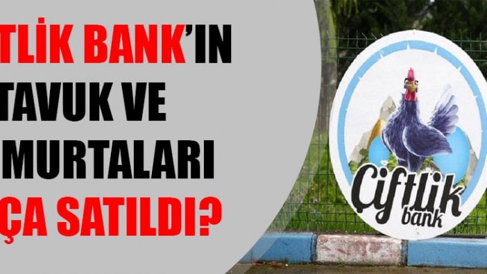 Çiftlik Bank'ın tavuk ve yumurtaları ihaleyle satıldı! Peki 22 bin tavuk kaça gitti?