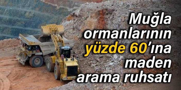 Muğla ormanlarının yüzde 60’ına maden arama ruhsatı