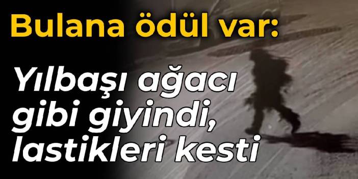 Bulana ödül var: Yılbaşı ağacı gibi giyindi, lastikleri kesti