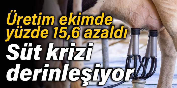 Üretim ekimde yüzde 15,6 azaldı: Süt krizi derinleşiyor