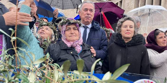 Zeytin üreticilerinden TBMM'de 'zeytinlik' teklifine tepki