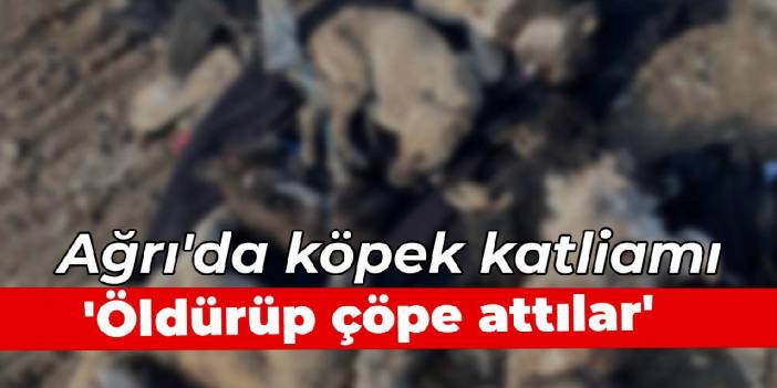 Ağrı'da köpek katliamı... 'Öldürüp çöpe attılar'