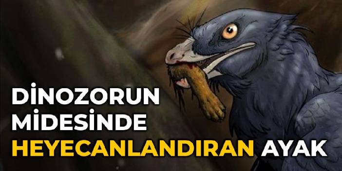 Dinozorun midesinde heyecanlandıran ayak