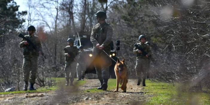 Yunanistan'a kaçmaya çalışan 3 FETÖ üyesi yakalandı