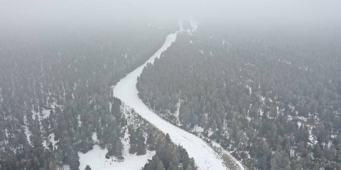 Kars ve Ardahan'da ulaşıma sis engeli