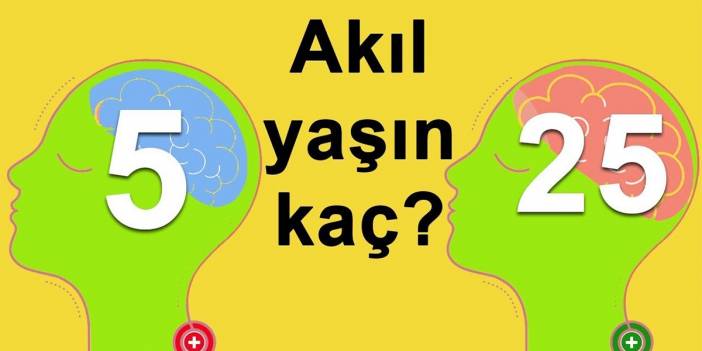 Senin akıl yaşın kaç? Bu basit ve hızlı test sayesinde akıl yaşını öğrenebilirsin