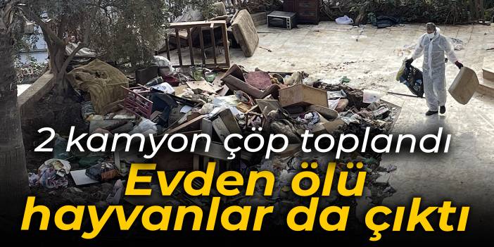 2 kamyon çöp çıkan evde ölü hayvanlar da bulundu