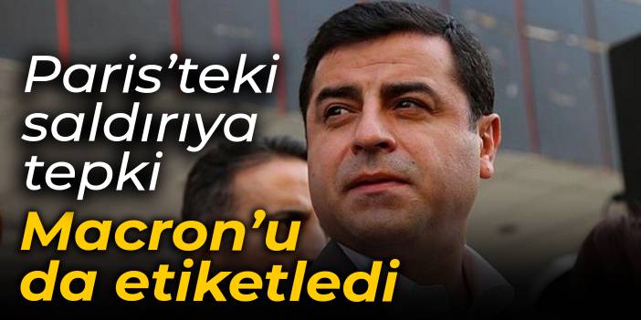 Demirtaş'tan saldırı tepkisi: Macron'u da etiketledi