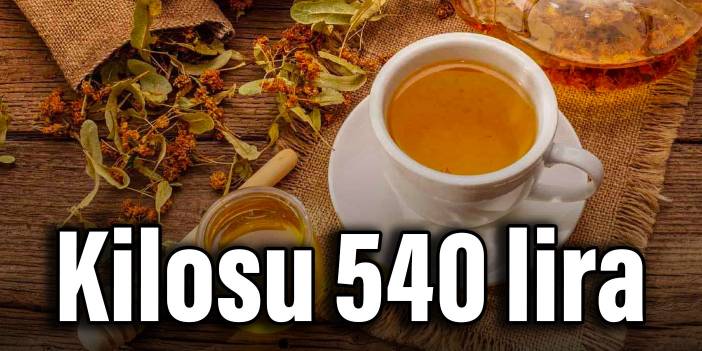 Ihlamurun kilosu 540 lira oldu