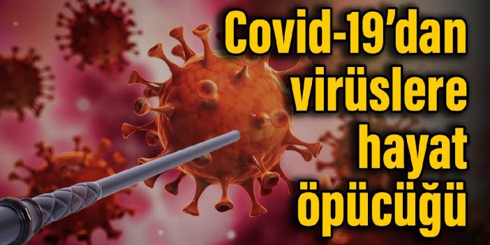 Covid-19 virüslere hayat öpücüğü veriyor