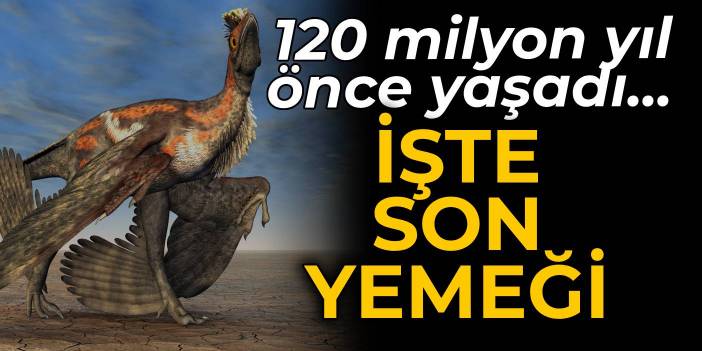 120 milyon yıl önce yaşadı... İşte Microraptor'un son yemeği