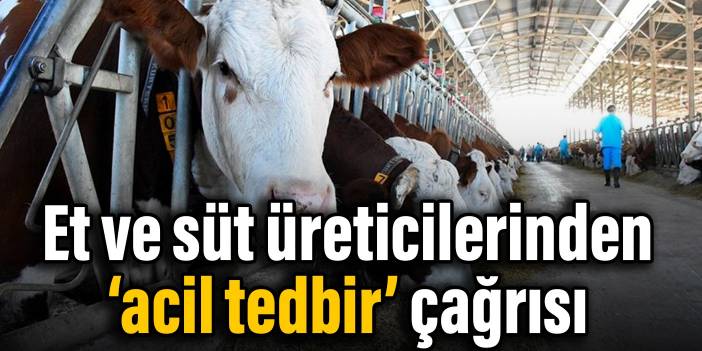 Et ve süt üreticilerinden ‘acil tedbir’ çağrısı