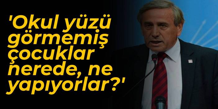 CHP'li Kaya: Okul yüzü görmemiş çocuklar nerede, ne yapıyorlar?