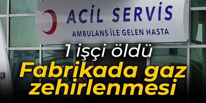 Fabrikada gaz sızıntısı: 1 işçi öldü