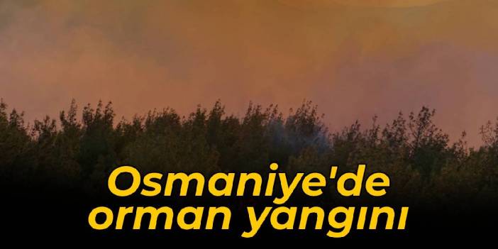 Osmaniye’de orman yangını