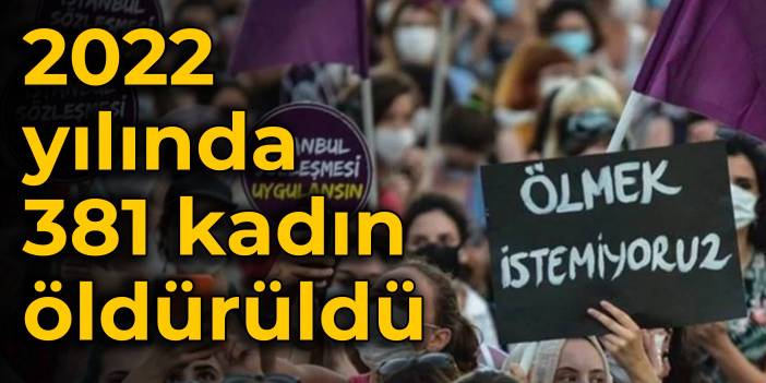 2022 yılında 381 kadın öldürüldü