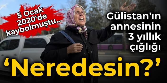 5 Ocak 2020'de kaybolmuştu... Gülistan'ın annesinin 3 yıllık çığlığı: Neredesin?