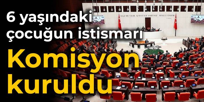 6 yaşındaki çocuğun istismarı: Komisyon kuruldu