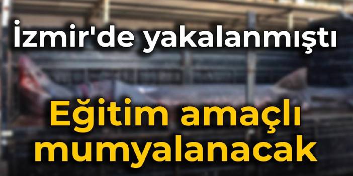 İzmir'de yakalanmıştı: Eğitim amaçlı mumyalanacak