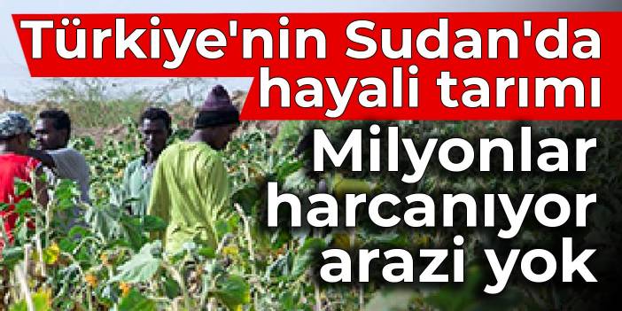 Türkiye'nin Sudan'da hayali tarımı: Milyonlar harcanıyor, arazi yok