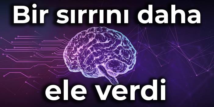 Beyin bir sırrını daha ele verdi