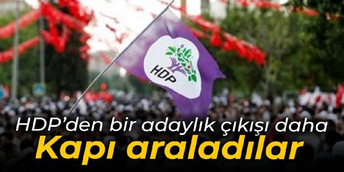 HDP'den bir adaylık çıkışı daha