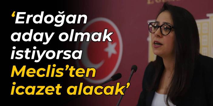 TİP'li Kadıgil: Erdoğan aday olmak istiyorsa Meclis’ten icazet alacak