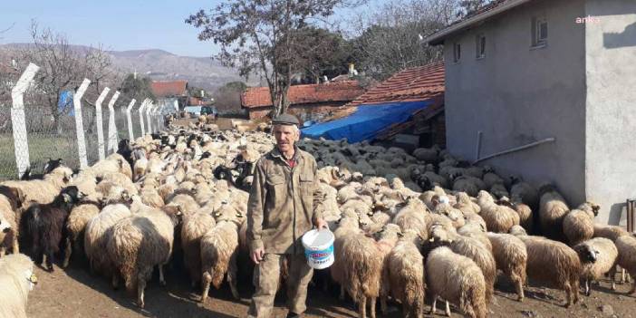 Meraları tarumar edildi: Bir bağ yonca ekecek yerim yok