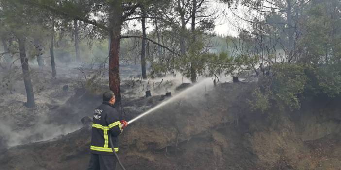 Hatay'da orman yangını