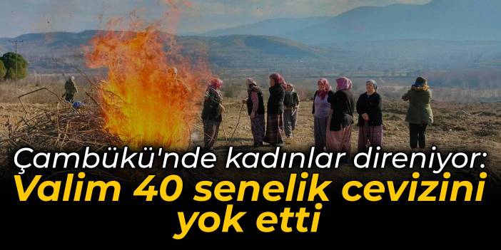 Çambükü'nde kadınların direnişi sürüyor: Valim 40 senelik cevizini yok etti