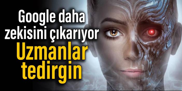 Google daha zekisini çıkarıyor, uzmanlar tedirgin