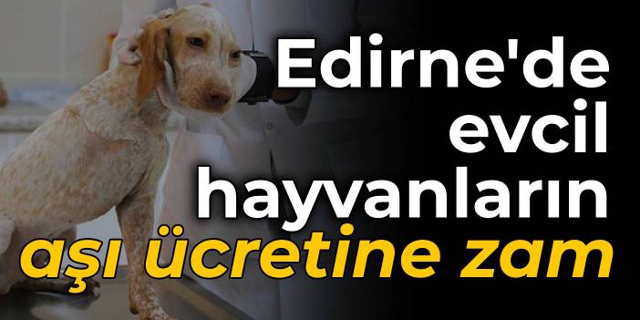 Edirne'de evcil hayvanların aşı ücretlerine zam