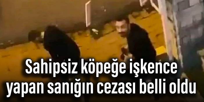 Sahipsiz köpeğe işkence yapan sanığın cezası belli oldu