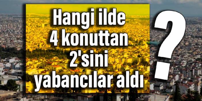 Hangi ilde 4 konuttan 2'sini yabancılar aldı