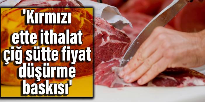 'Kırmızı ette ithalat, çiğ sütte fiyat düşürme baskısı'