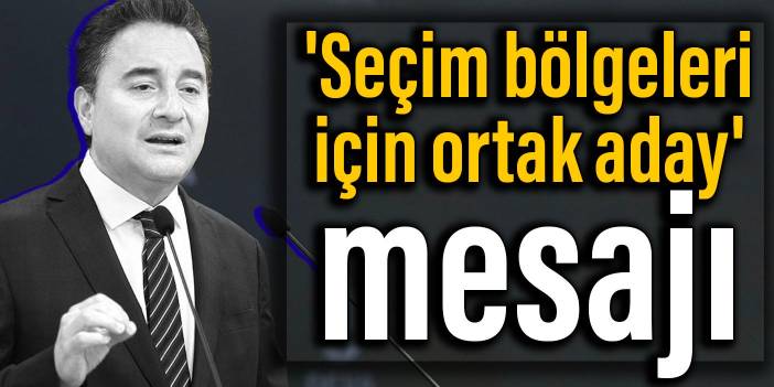 Babacan'dan 'seçim bölgeleri için ortak aday' mesajı