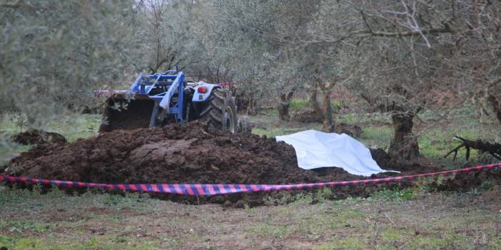 Zeytinlikteki gübreden ceset çıktı