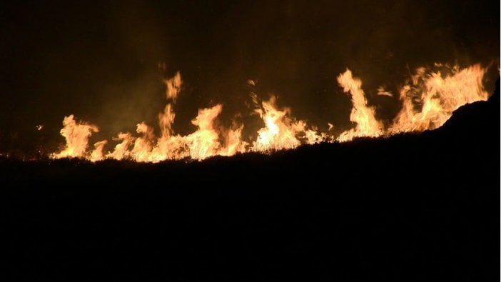 Bodrum’da sit alanında yangın çıktı