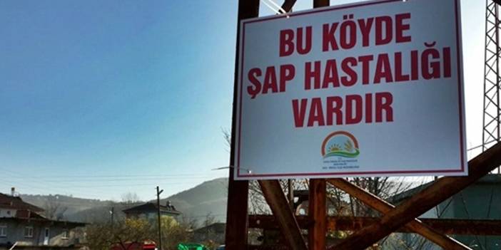 O ilin 5 köyünde 'şap' karantinası