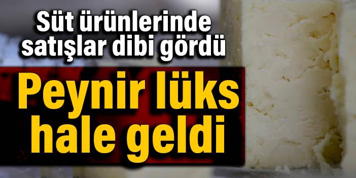 Süt ürünlerinde satışlar dibi gördü: Peynir lüks hale geldi