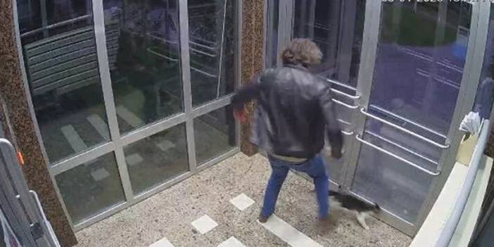 Kedi düşmanı adliyede