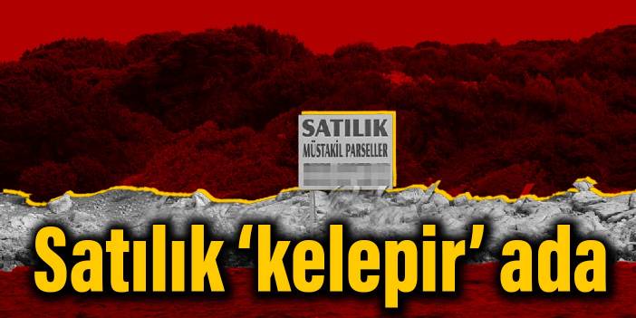 Satılık ‘kelepir’ ada