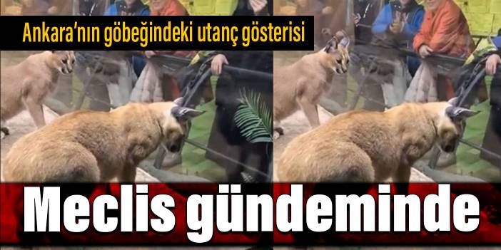 Ankara'nın göbeğindeki utanç gösterisi Meclis gündemine taşındı