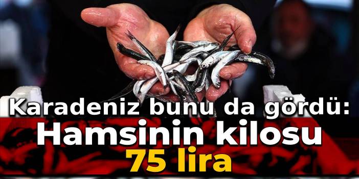 Karadeniz bunu da gördü: Hamsinin kilosu 75 liraya çıktı