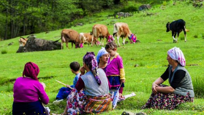 Doğu Karadeniz’de yeşeren yaylalara göç başladı