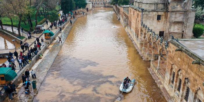 Balıklıgöl'deki balıklara ne oldu?